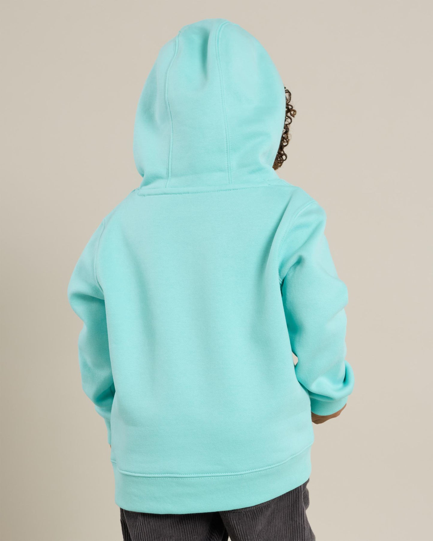 Quiksilver Big Logo Hoodie Toddler Boys