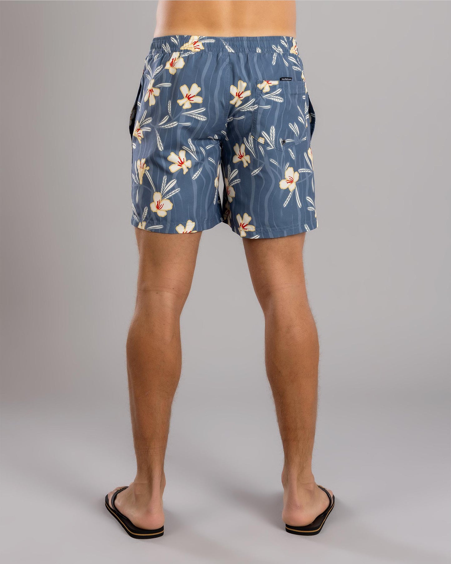 Quiksilver Everyday Straight Volley 17NB Shorts