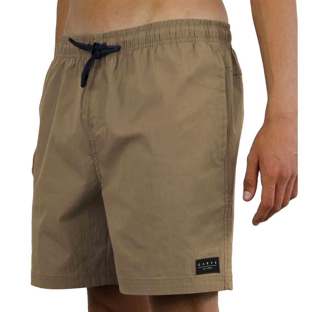 Carve Cruz Mens Swim Volley Short