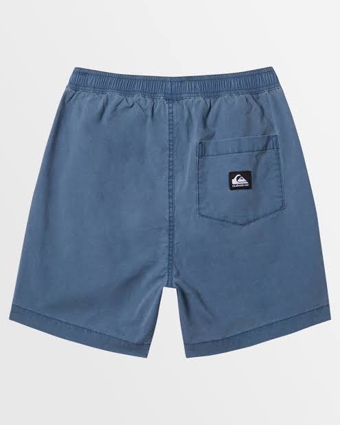 Quiksilver Taxer Youth Short