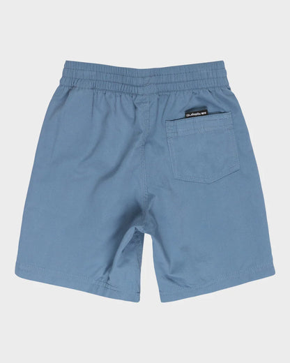 Quiksilver Everyday Vert Volley Boys Boardshorts