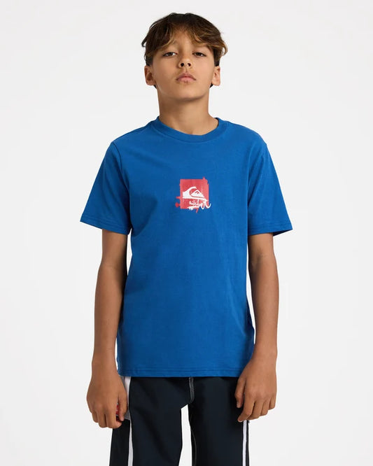 Quiksilver YG Impaired Box Tee Boys